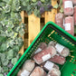 Complete Box Raw meat 20 x 454g