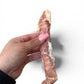 Beef trumpet