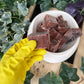 Liver chunks