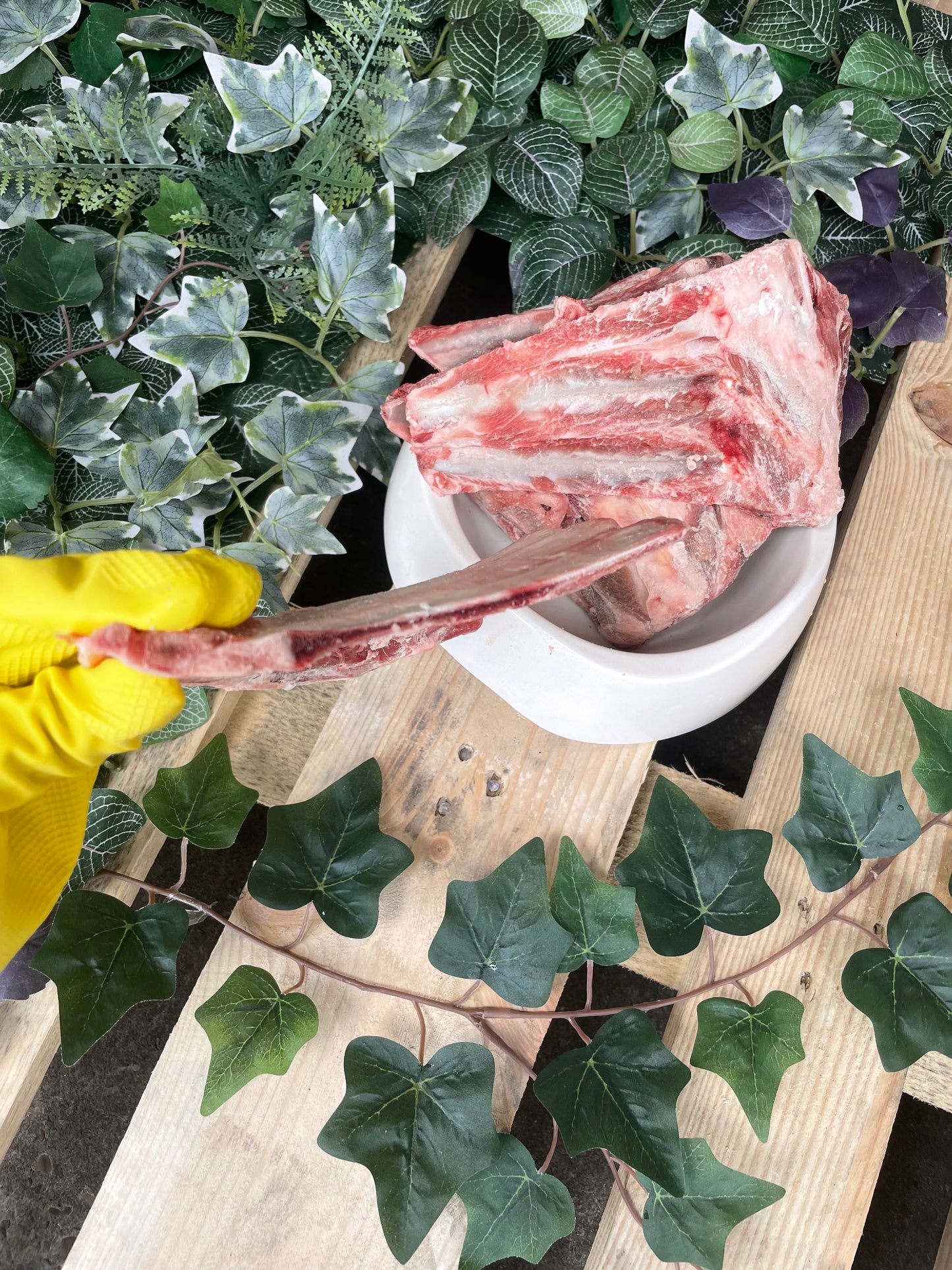 Lamb ribs/ spines 1kg
