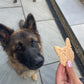 Alsatian Peanut butter cookie
