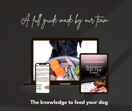 Beginners Raw Dog Food FULL Guide