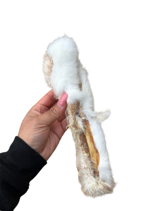 Rabbit fur / skin
