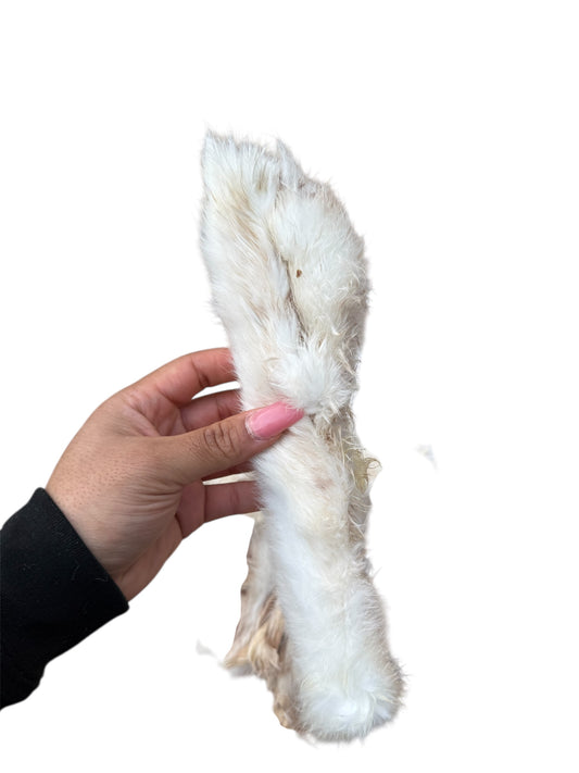 Rabbit fur / skin
