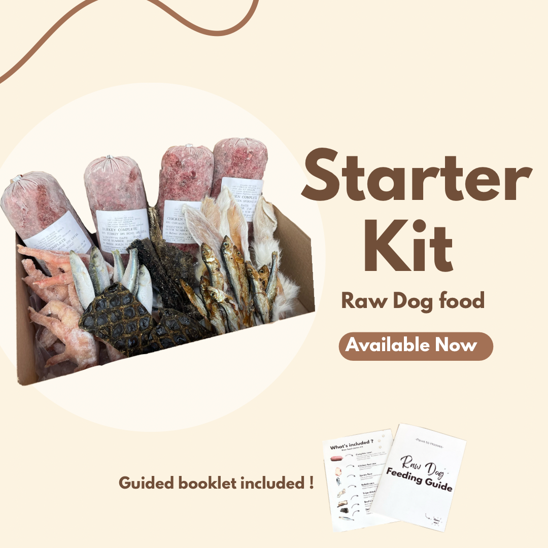 Raw Dog food Starter Taster Kit