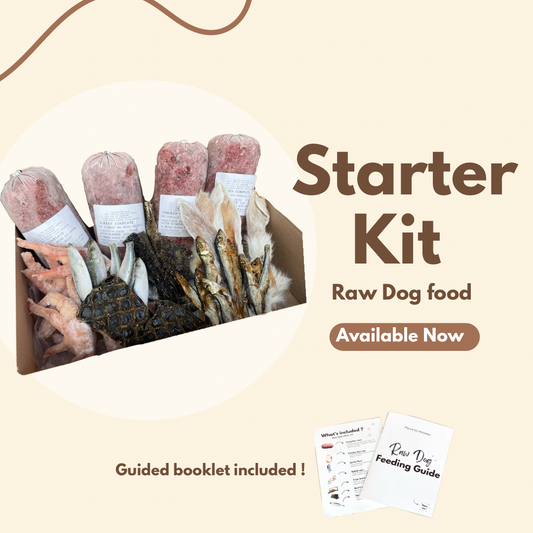 Raw Dog food Starter Taster Kit