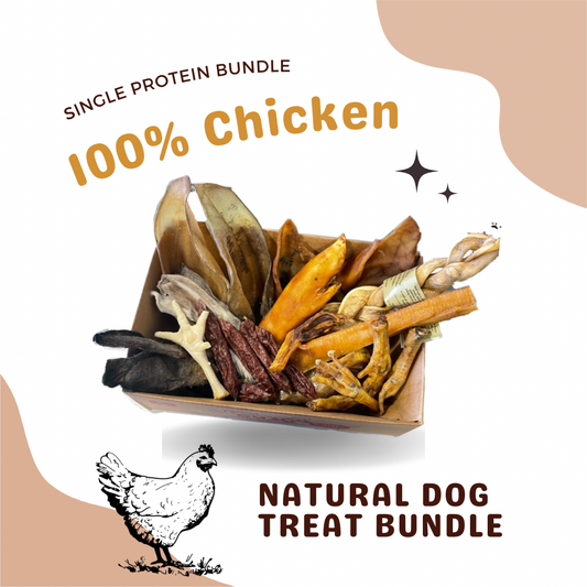 Chicken Natural Dog treats mystery bundle