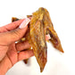 Turkey wings