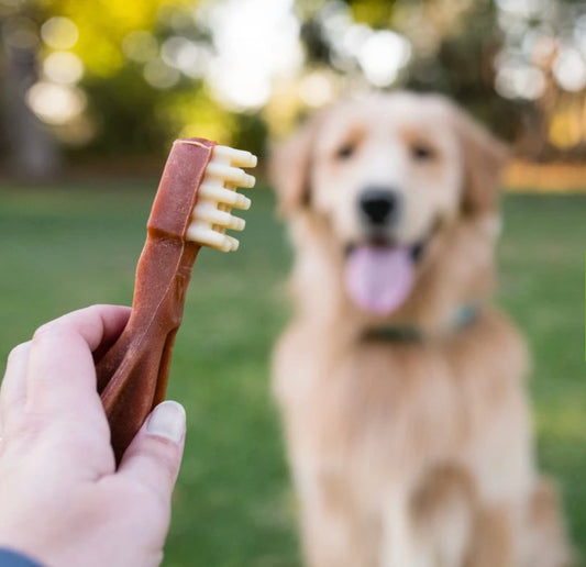Whimzee Natural toothbrush chew