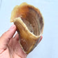 Hollow Cow Hoof