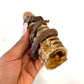 Gullet wrapped Trachea