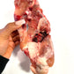 Chicken carcass Raw