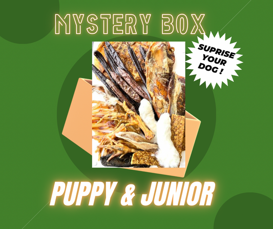 Puppy mystery box