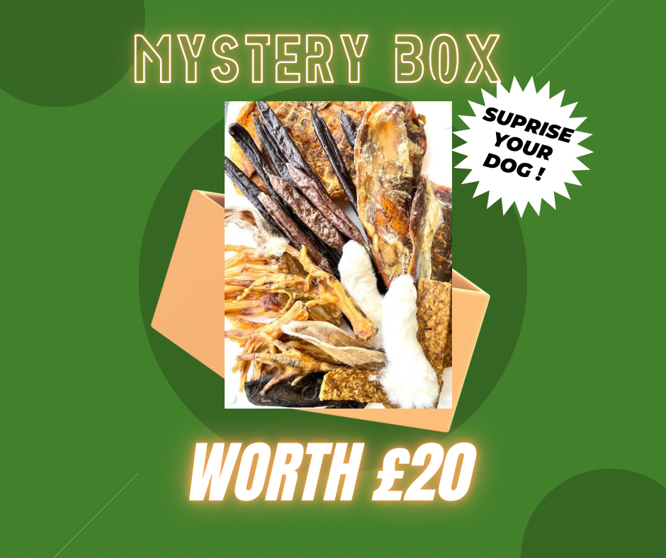 Mystery box £20