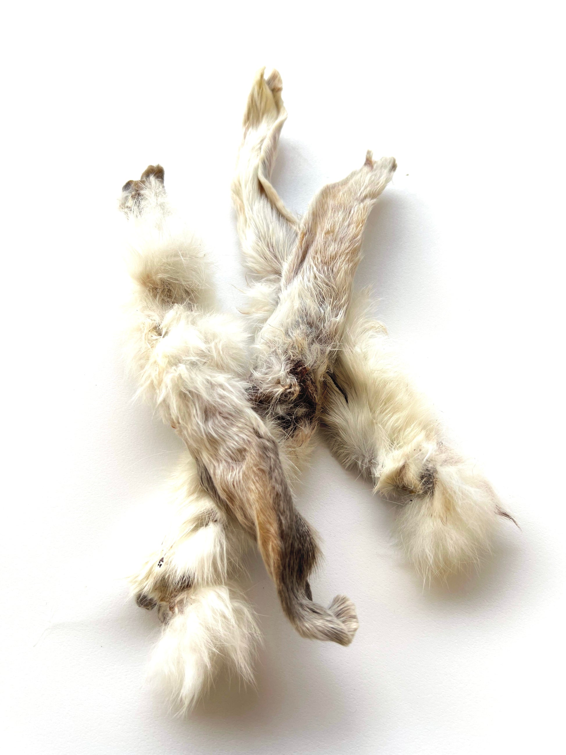 Rabbit ears – Paws to hooves