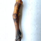 Goat trotter without fur