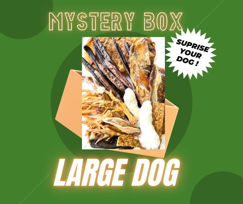 Large dog mystery box