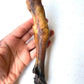 Goat trotter without fur