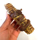 Gullet wrapped Trachea