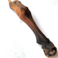 Goat trotter without fur