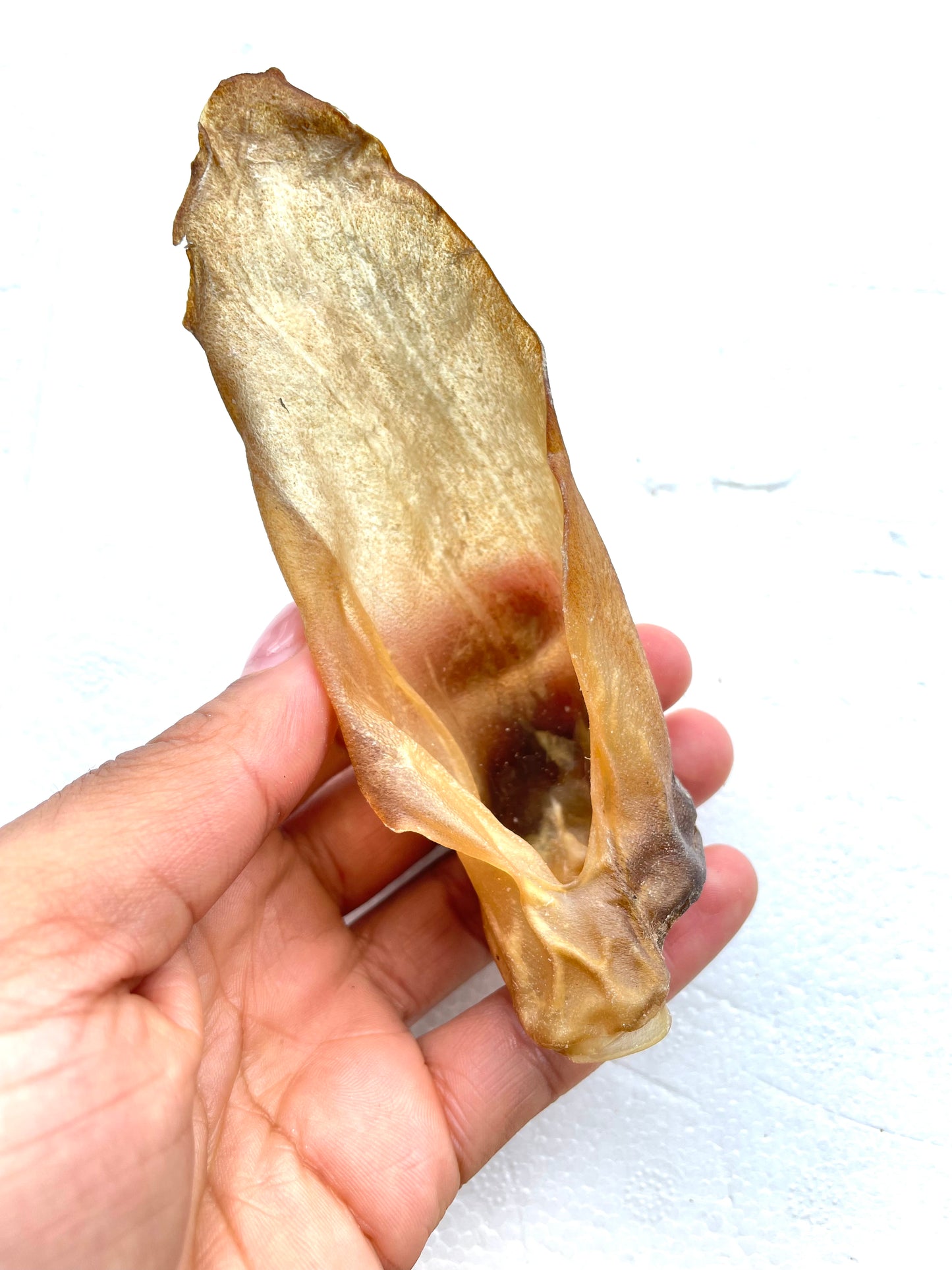 Lamb Ears without fur